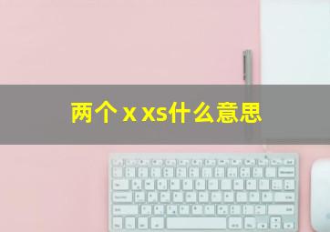 两个ⅹxs什么意思