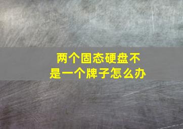 两个固态硬盘不是一个牌子怎么办