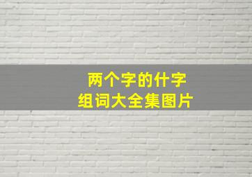 两个字的什字组词大全集图片