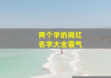 两个字的网红名字大全霸气