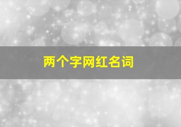 两个字网红名词