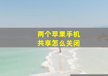 两个苹果手机共享怎么关闭