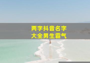 两字抖音名字大全男生霸气