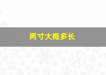 两寸大概多长