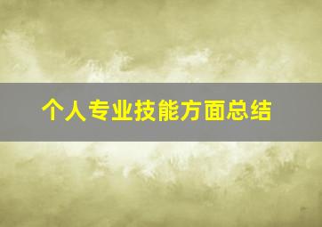 个人专业技能方面总结