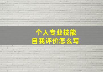 个人专业技能自我评价怎么写