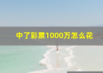 中了彩票1000万怎么花