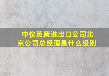 中仪英康进出口公司北京公司总经理是什么级别