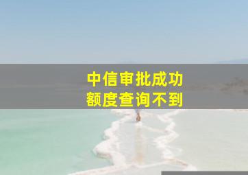 中信审批成功额度查询不到