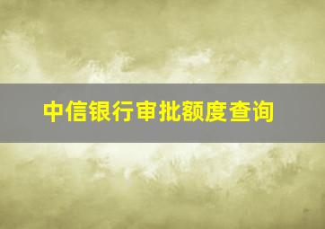 中信银行审批额度查询