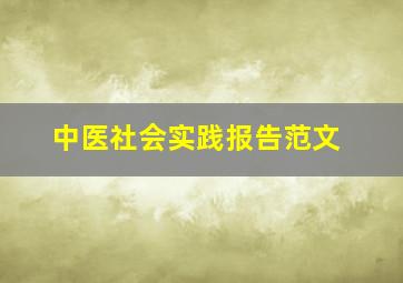 中医社会实践报告范文