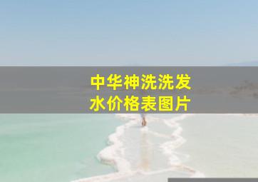 中华神洗洗发水价格表图片