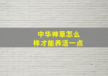 中华神草怎么样才能养活一点