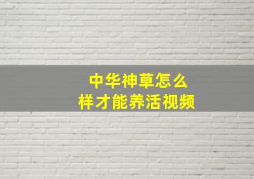 中华神草怎么样才能养活视频