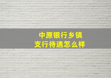 中原银行乡镇支行待遇怎么样