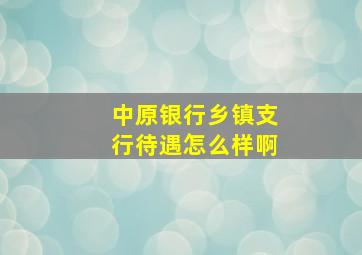 中原银行乡镇支行待遇怎么样啊