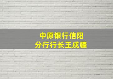 中原银行信阳分行行长王戍疆