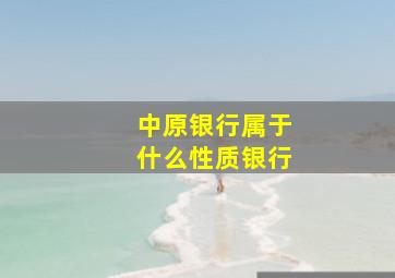 中原银行属于什么性质银行