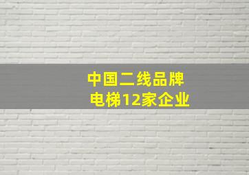 中国二线品牌电梯12家企业