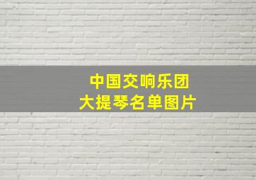 中国交响乐团大提琴名单图片