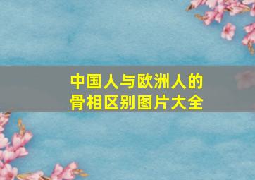 中国人与欧洲人的骨相区别图片大全