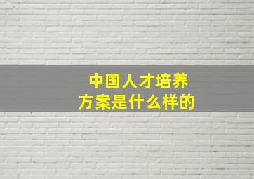 中国人才培养方案是什么样的