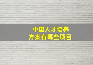 中国人才培养方案有哪些项目