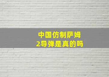 中国仿制萨姆2导弹是真的吗