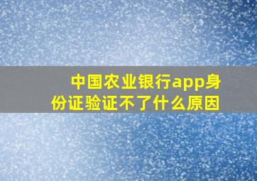 中国农业银行app身份证验证不了什么原因