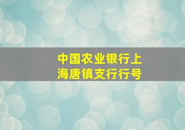 中国农业银行上海唐镇支行行号