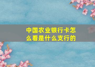 中国农业银行卡怎么看是什么支行的