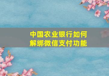 中国农业银行如何解绑微信支付功能