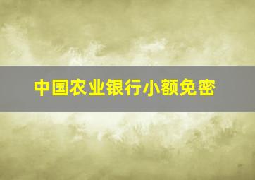 中国农业银行小额免密