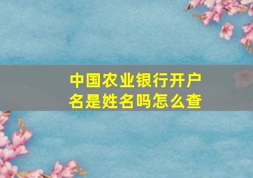 中国农业银行开户名是姓名吗怎么查