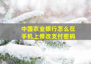 中国农业银行怎么在手机上修改支付密码