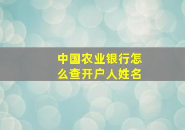 中国农业银行怎么查开户人姓名