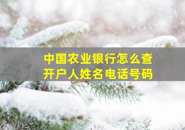 中国农业银行怎么查开户人姓名电话号码