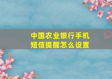 中国农业银行手机短信提醒怎么设置