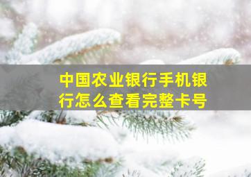 中国农业银行手机银行怎么查看完整卡号