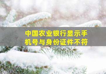 中国农业银行显示手机号与身份证件不符