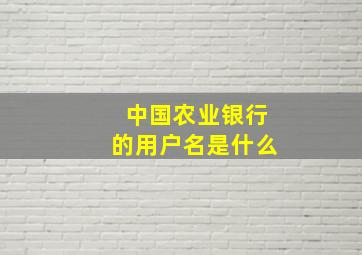 中国农业银行的用户名是什么