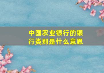 中国农业银行的银行类别是什么意思