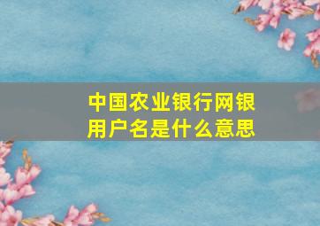 中国农业银行网银用户名是什么意思