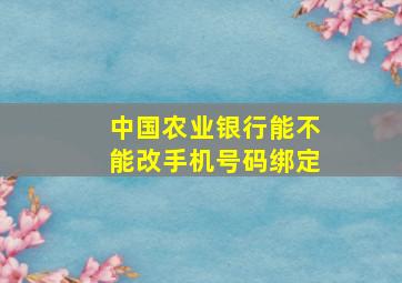 中国农业银行能不能改手机号码绑定