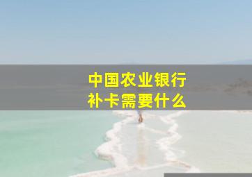 中国农业银行补卡需要什么