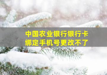 中国农业银行银行卡绑定手机号更改不了