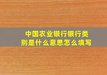 中国农业银行银行类别是什么意思怎么填写