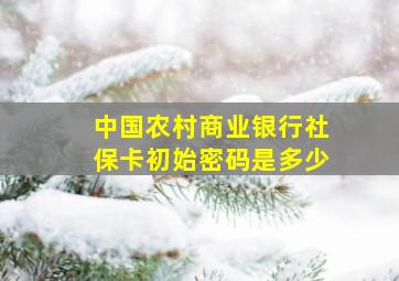 中国农村商业银行社保卡初始密码是多少