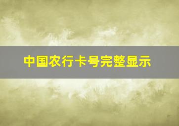 中国农行卡号完整显示