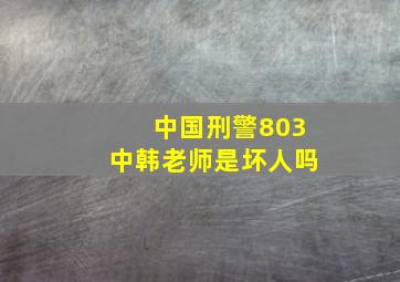 中国刑警803中韩老师是坏人吗